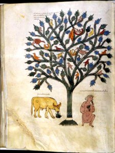 image002