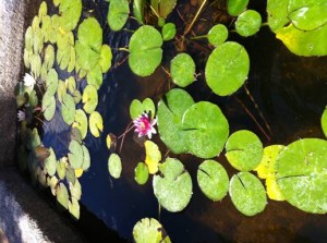 image001