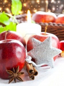 8132342-apple-cinnamon-and-anise-with-christmas-decoration