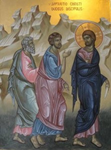 18194078_10154403793076921_7683953870007848745_n